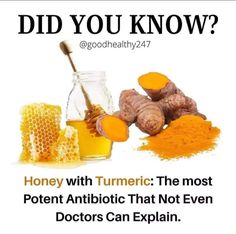 Benefits Turmeric, Honey Come, Turmeric Benefits