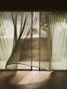 an open window with sheer curtains on the outside, and trees in the back ground