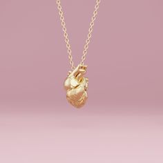 Shop at our store and do good. We donate 1 USD for each product in your order to science education. Anatomical heart necklace. Free US shipping! Need shipping to the EU? Check our EU version: https://www.etsy.com/listing/1187260146/anatomical-heart-necklace 3D printed in wax and cast on demand. Ships from Europe or the US (whichever is closer to you). Comes in a little black velvet bag. One solid piece of an anatomically correct human heart. The model is not hollow, hence it's a bit more expensi Anatomical Heart Jewelry, Human Heart Necklace, Anatomical Heart Pendant, Anatomically Correct Heart, Anatomical Heart Necklace, Fish Necklace, Anatomical Heart, Human Heart, Gold Heart Necklace