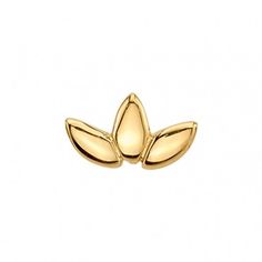 two gold leaves on a white background, one is shaped like a leaf and the other has