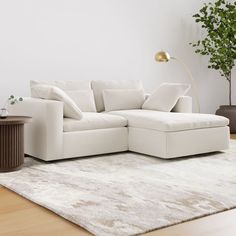 a white couch sitting on top of a wooden floor next to a table and potted plant