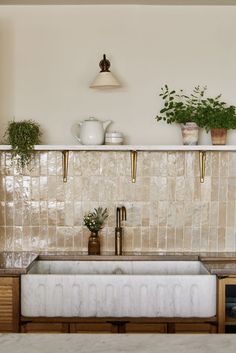 a kitchen sink sitting under a window next to a shelf filled with potted plants