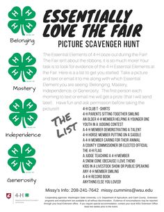 the flyer for an event with four leaf clovers on it and text that reads,'essential love the fair picture scavenger hunt '