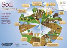 an image of soil functions in the earth's climate system, including water and land