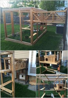 several pictures of the outside of a house with chicken coops in it and some chickens inside