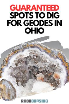 an image of a book cover with the title, quainted spots to dig for geo