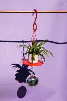 an air plant hanging from a wire with a disco ball in the foreground and a purple wall behind it