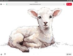 a drawing of a lamb laying down on the ground with its head turned to the side