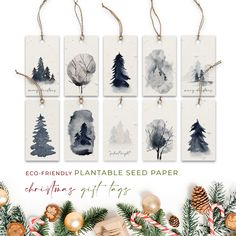 the eco friendly plantable seed paper christmas gift tags are on display next to evergreens and pine cones