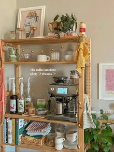 a shelf filled with lots of different types of items next to a potted plant