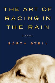 the book cover for the art of racing in the rain