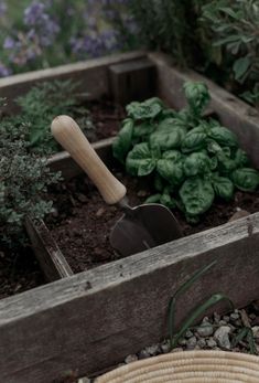 a garden filled with lots of green plants and gardening utensils next to each other