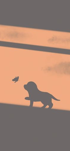 the silhouette of a dog running with a bird flying in the sky behind it on an orange and gray background