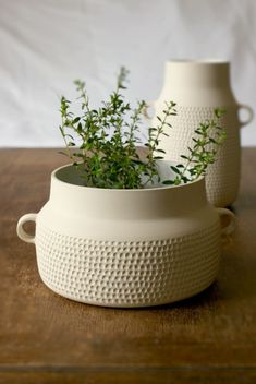 two white vases with plants in them sitting on a wooden table next to each other