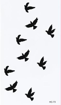 a flock of birds flying across a white sky