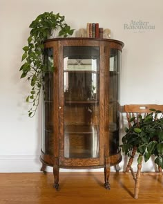 a wooden corner cabinet with glass doors and plants in it next to a chair on a hard wood floor