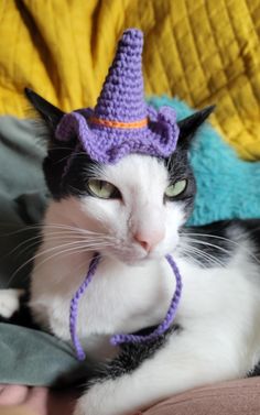 a black and white cat wearing a purple crochet hat