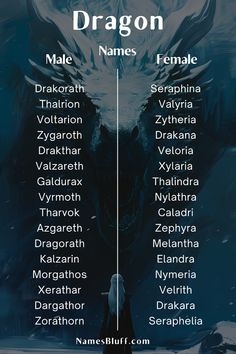 an image of the names of all different characters in dragon name tags on a dark blue background