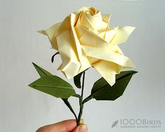 a hand holding a yellow rose with the words simple way to express gratitude every day