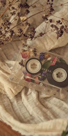 two cd's sitting on top of a table next to some dried leaves and flowers