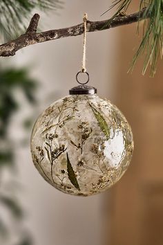 a glass ornament hanging from a tree branch