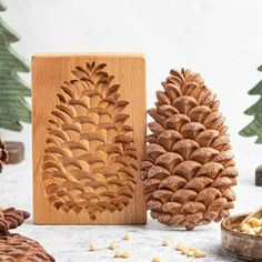 three pine cones are sitting next to each other in front of some small pine cones