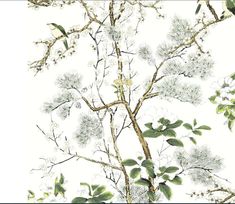 a bird is sitting on the branch of a tree with white flowers and green leaves