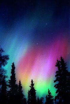 an instagram page with the image of trees and aurora lights in the sky above it