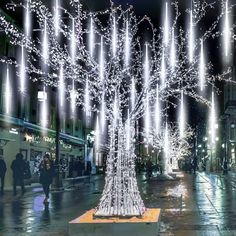 a lighted tree in the middle of a city street