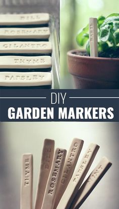 diy garden markers with text overlay