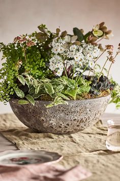 a bowl filled with lots of plants on top of a table next to a plate