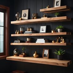 some shelves with pictures and plants on them