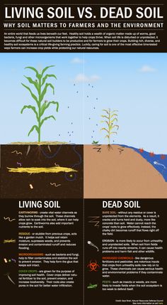 an info poster describing the different types of soil and how it is used to grow plants