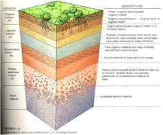 the layers of soil are labeled in this diagram