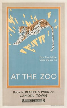 an advertisement for the zoo featuring a cheetah in mid - air, with text at the zoo