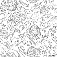 a black and white drawing of tropical leaves