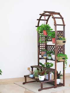 a wooden shelf filled with potted plants on top of a floor next to a wall