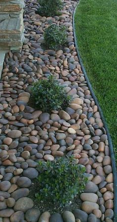 there is a long line of rocks in the grass