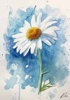 a watercolor painting of a white daisy