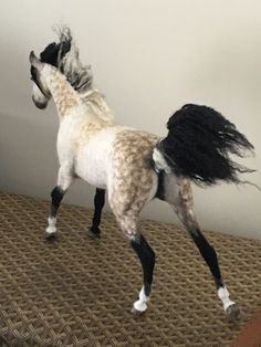 a white and black horse standing on top of a rug