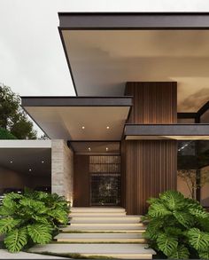 a modern house with stairs leading up to the front door and green plants on the side