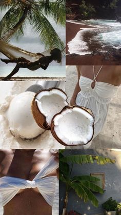 the collage shows coconuts and other tropical items