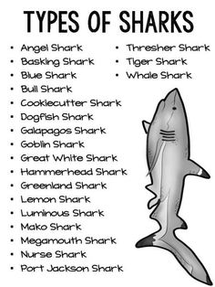 the types of sharks are shown in black and white