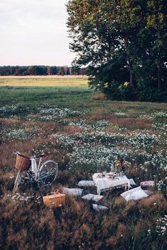 a bicycle parked next to a picnic table in a field full of wildflowers