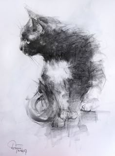 a black and white drawing of a cat