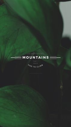 a green plant with the words mountains in white on it's bottom right corner