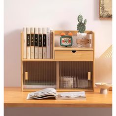 a book shelf with books and magazines on it in front of a wall mounted cactus