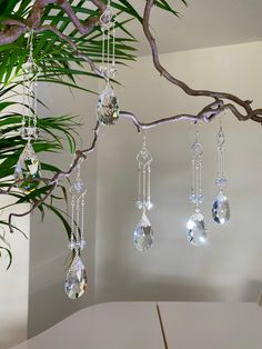 a tree branch with several hanging crystal pieces on it's branches and a potted plant in the background