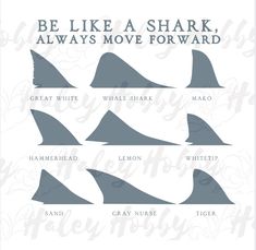 shark silhouettes with the words be like a shark, always move forward