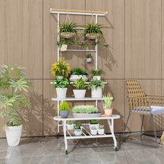 several potted plants are arranged on a shelf in front of a wooden wall and chair